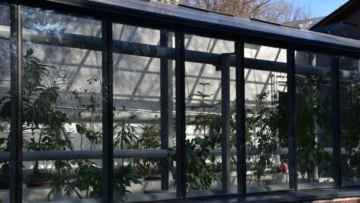 Саратовским журналистам и градозащитникам показали уникальные растения в Ботаническом саду