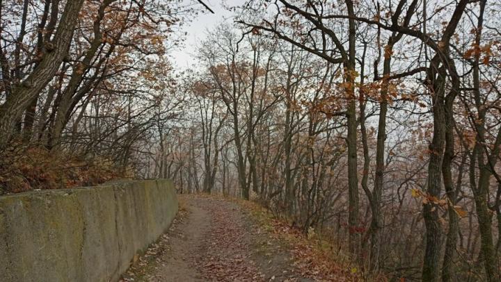 В Саратовской области на неделе резко похолодает