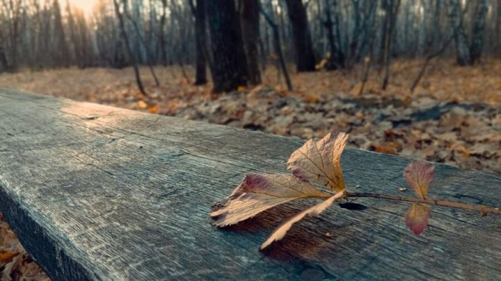 В Саратове стало теплее