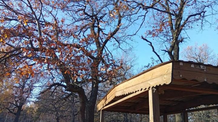 Саратовцев ждут тёплые, но ветреные выходные с дождём