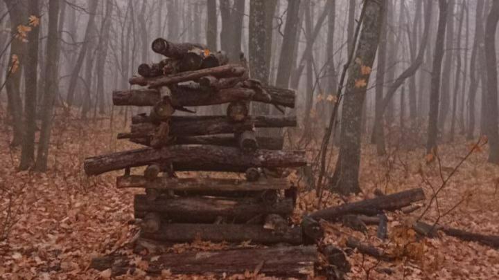 В Саратове ожидается туман и до +10 градусов