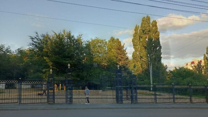 Систему полива модернизируют в сквере «Территория детства» в Саратове