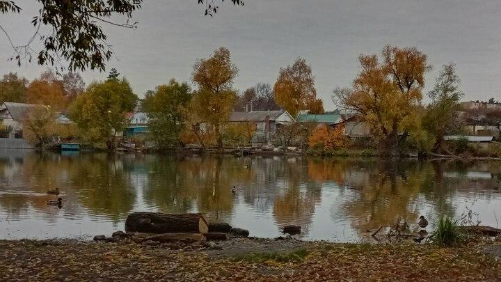 Капризы ноября: в Саратове до +5