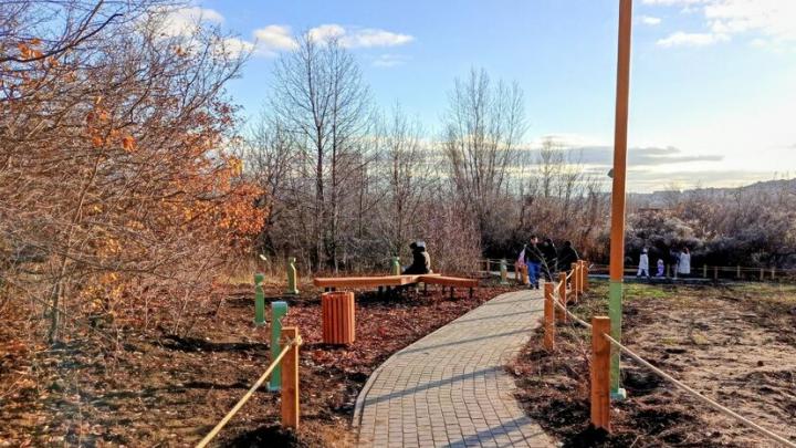 В Саратове начался второй этап реконструкции Ботанического сада