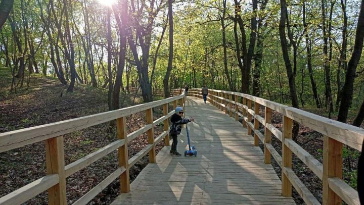 Миллионы на скамейки и туалет: что сделают у саратовского пруда Семхоз