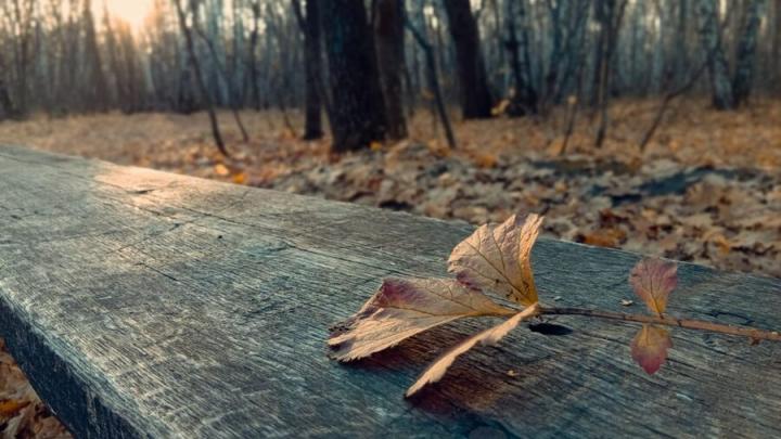 В Саратовской области ночные морозы сменятся осенним теплом днем