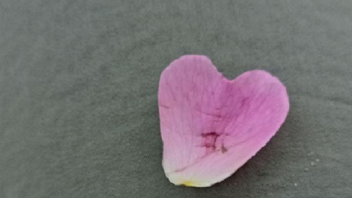 В Саратове задержали женщину по подозрению в мошенничестве через сайт знакомств