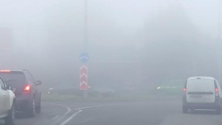 Опасная пелена: в ряде районов Саратовской области видимость на дорогах упала до катастрофических значений
