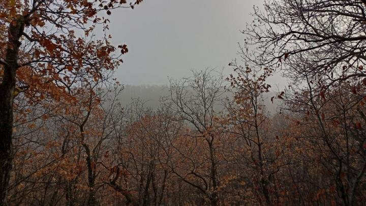 В последний день осени в Саратове туманно и сыро
