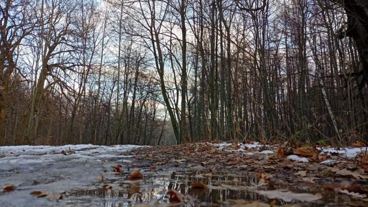 В Саратовской области всю неделю сохранится аномально тёплая погода