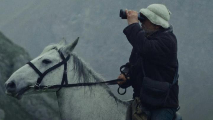 На землю тихо опустилась зима: Wink.ru знает, как согреть декабрь