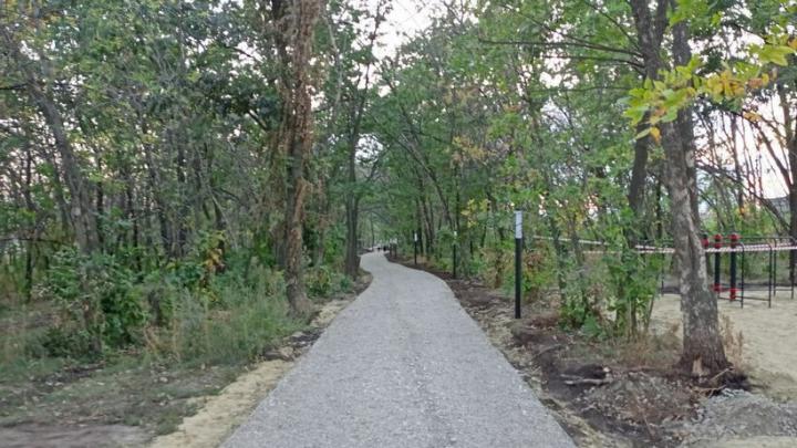 У экотропы в Ленинском районе Саратова обустроят детские площадки