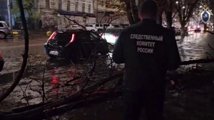 В Саратове чиновница признана виновной в падении ветки на девушку В Саратове чиновница признана виновной в падении ветки на девушку