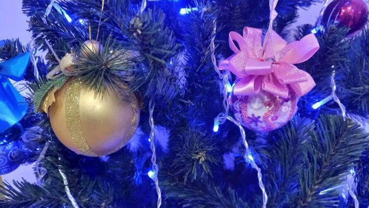 10 ��������� ���������� �� ��������� ������ ������� �� ����� ���