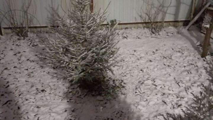 В Саратовской области будет ветрено и морозно