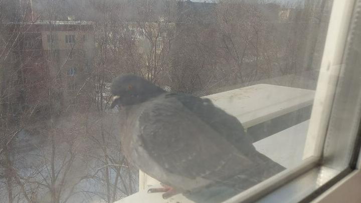 Похолодание приходит в Саратовскую область Похолодание приходит в Саратовскую область