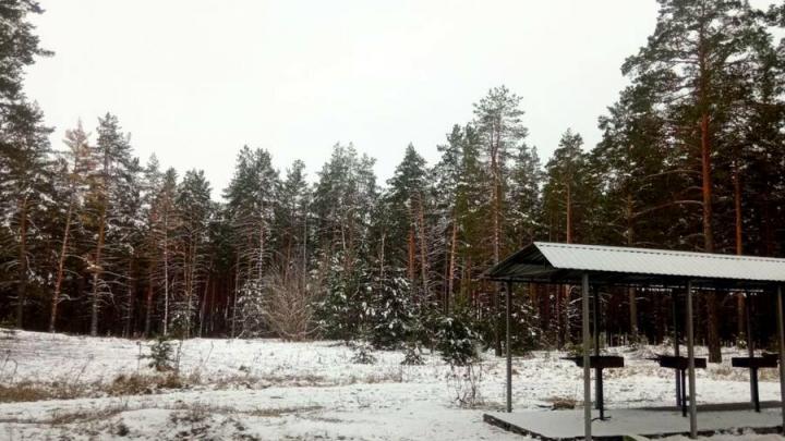 Жители Саратовской области могут сообщить о браконьерстве по телефону горячей линии