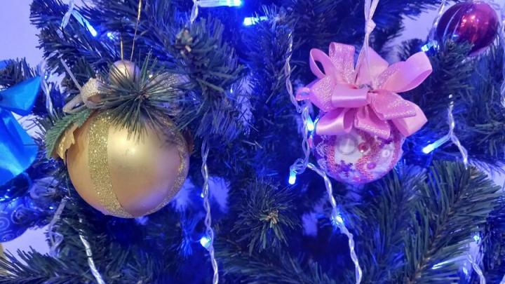 Бесплатный олень стоил 48 тысяч: саратовчанин попался на уловку мошенников Бесплатный олень стоил 48 тысяч: саратовчанин попался на уловку мошенников