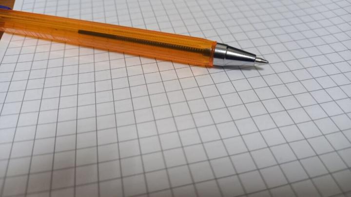 Треть саратовцев надеются на карьерный рост в 2026 году