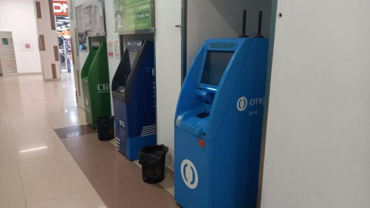 ��������� ������� �� ������: ������ �������� ����� ����� 5 ��������� �� ��������������