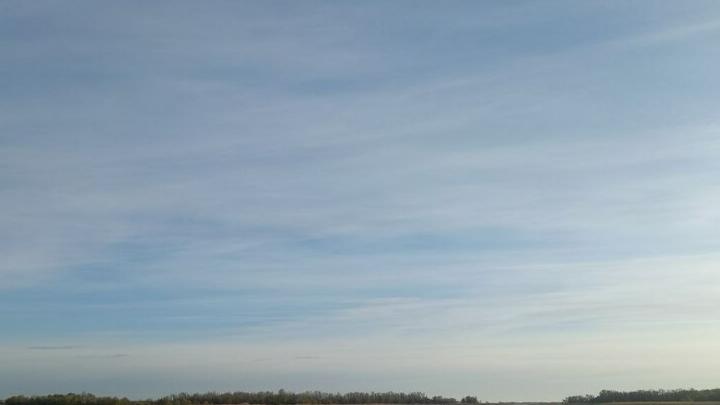 Над соседними с Саратовской областью регионами уничтожено 4 БПЛА