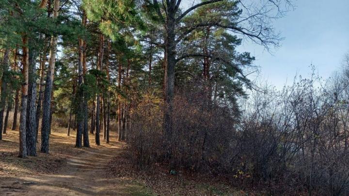 ���������� � ���������� ���: ����������� ������� ���������� ��������� � ����� ��� ������