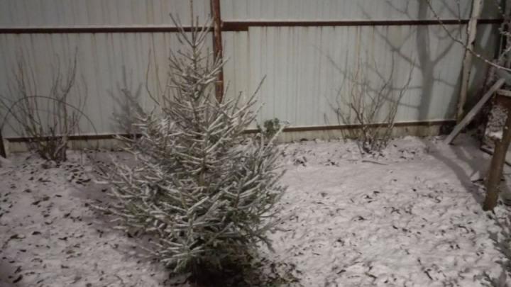 � �������� ��������� ���������� ���������� � �����