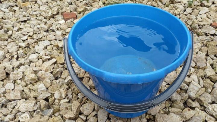 Два фиктивных директора и реальный хозяин: чиновник из Ровенского района строил бизнес на водоснабжении Два фиктивных директора и реальный хозяин: чиновник из Ровенского района строил бизнес на водоснабжении