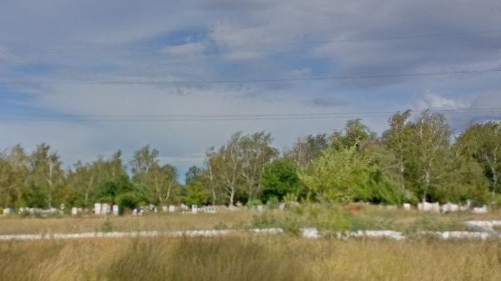 � �������� �� ������ 50 ������� �������� 1,23 ��� ������