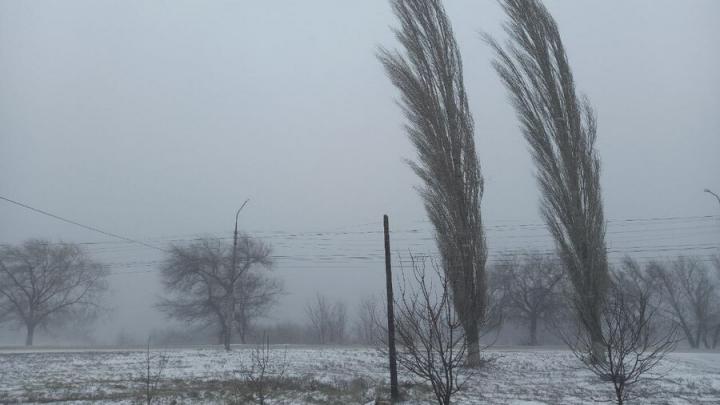 В Саратовской области прогнозируется снегопад