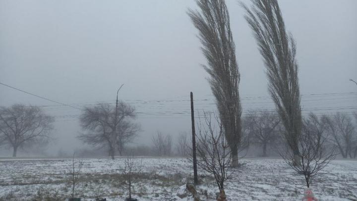 ��������� � ������� ���� �������� �� ������� ��� ������ �������