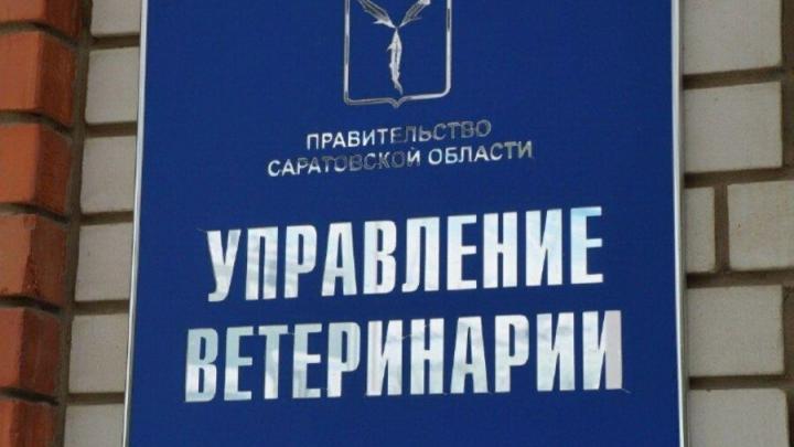 ���������� ����� � ������������������ ������ ����� ��� ������� �������������������� ��������