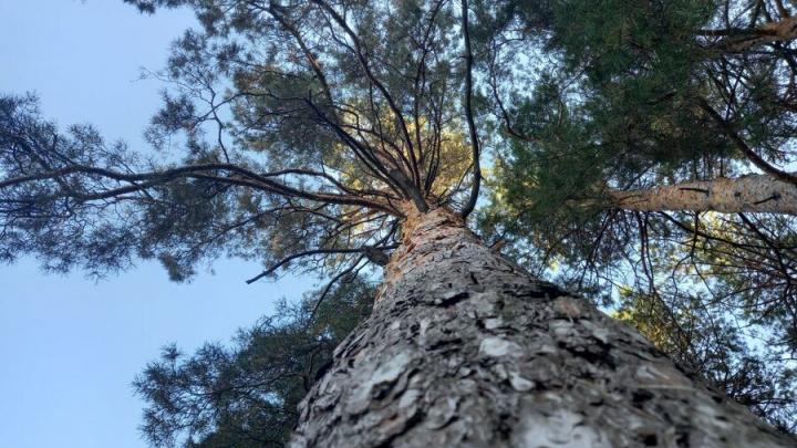 ������ ����������� ������ ������� ����������� ������� �� �������� ������ �� �������� ���-8