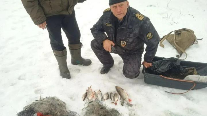 600 ������ �����, 9 �����, 4 ��������� ����: ���� ����������� ����� ���������� ��� ���������