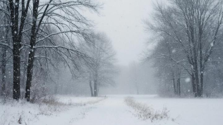 В Саратовской области прогнозируется пасмурная погода и снегопад