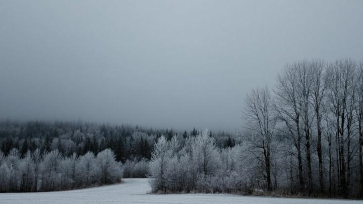 � ����������� ������� ��������� ��������� ������