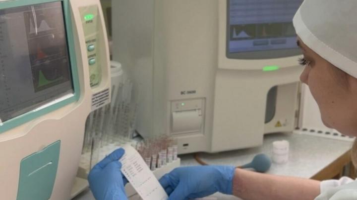 1300 �������� �� ��� ������: ����� ������������ ������ ����������� � �������� ��� ���������