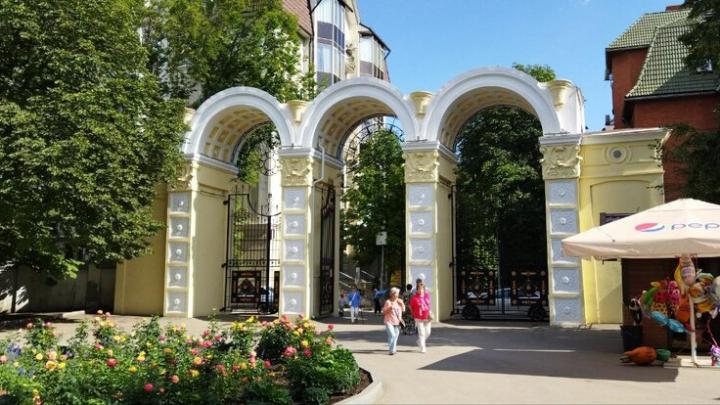 В Саратове стартует первый этап масштабного обновления горпарка за 200 млн рублей