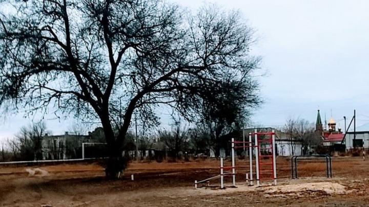 � ����������� ������ �������� ������������ ���������� 13 ������� �����