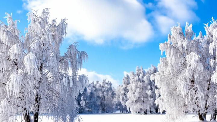В Саратовской области ясно и тепло