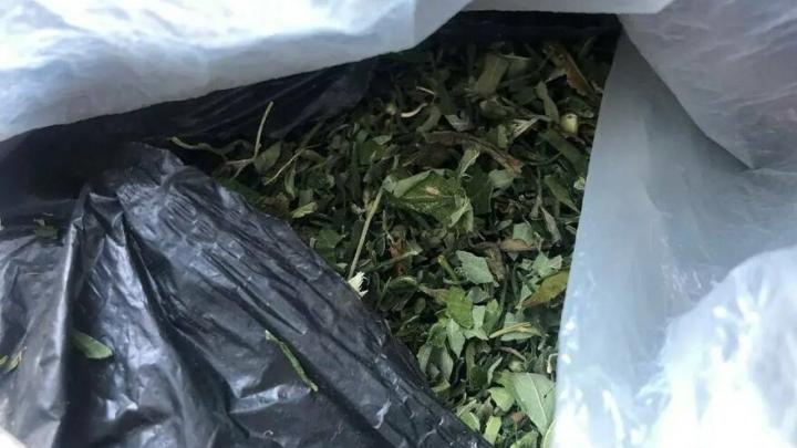 ������ ���������� ������� ���������� �� ����: ��� ������ �� 10 ��� �������