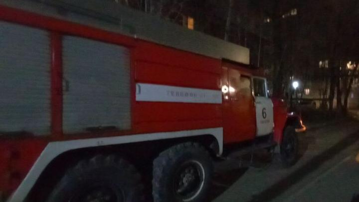 � ������� 56 ������� ������������ ��-�� ������� ��������