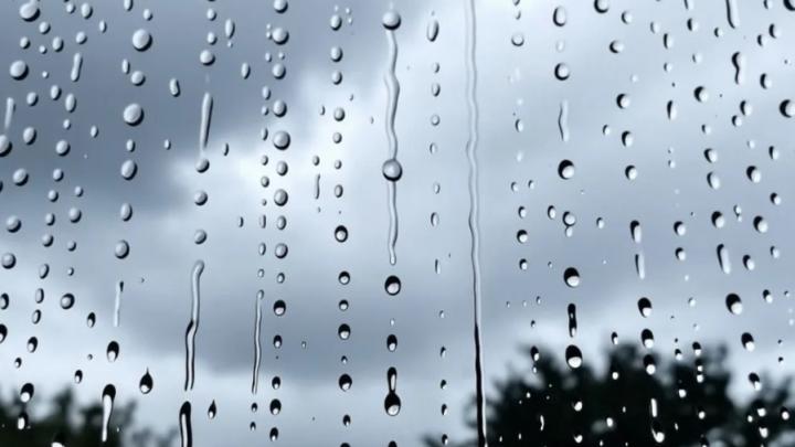 В Саратовской области будет тепло и дождливо