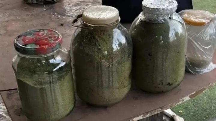 Почти 2,5 кг марихуаны: в Марксовском районе задержали подозреваемых в торговле наркотиками