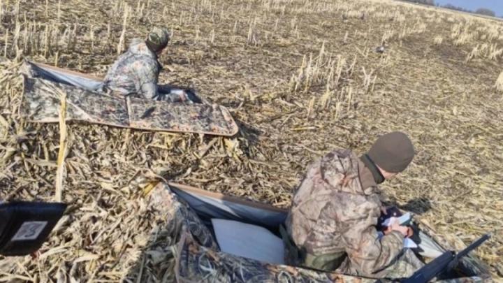 �� ��� ������ ����� � ����������� ������� ������� 109 �����������