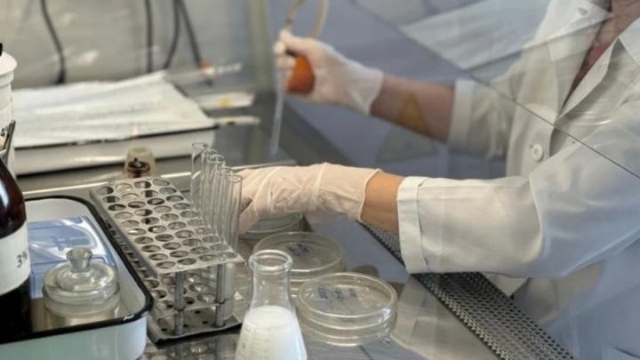 В Саратовской области за три месяца изъяли более 86 тонн опасного мяса