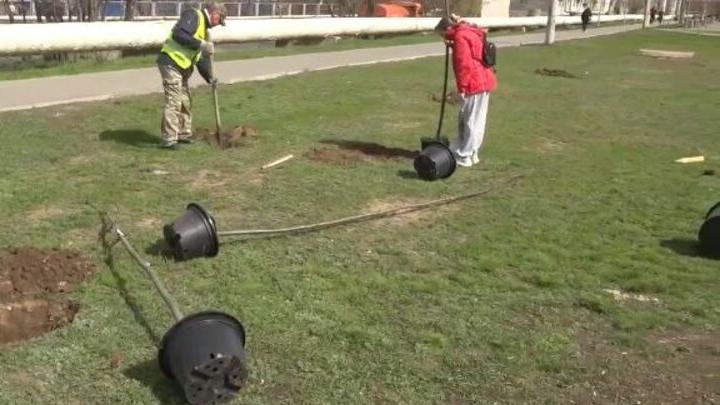 � �������� ���������� �������� ������� ������ ���������� 