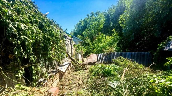 Саратовец убирал траву на соседском участке и обжег ноги Саратовец убирал траву на соседском участке и обжег ноги