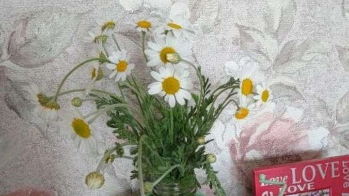 Телебашня в Саратове включит праздничную подсветку в День семьи, любви и верности Телебашня в Саратове включит праздничную подсветку в День семьи, любви и верности