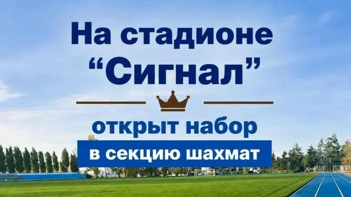 В Энгельсе на стадионе "Сигнал" открыт набор в секцию шахмат В Энгельсе на стадионе "Сигнал" открыт набор в секцию шахмат